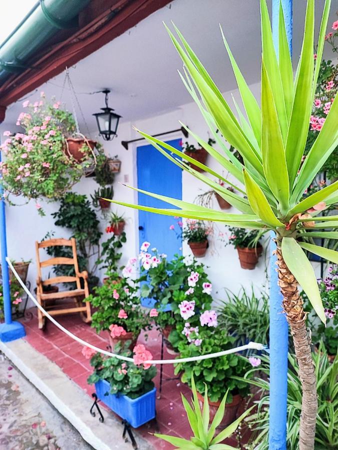 Apartamento Alcazar San Basilio Córdoba Kültér fotó