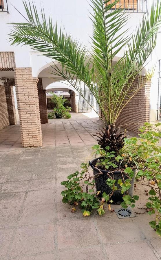 Apartamento Alcazar San Basilio Córdoba Kültér fotó